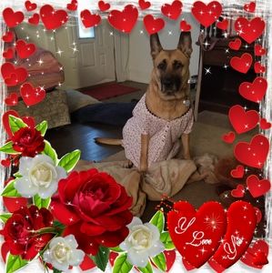 Meet your Posher, Natasha